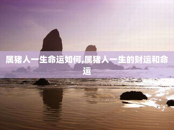 属猪人一生命运如何,属猪人一生的财运和命运