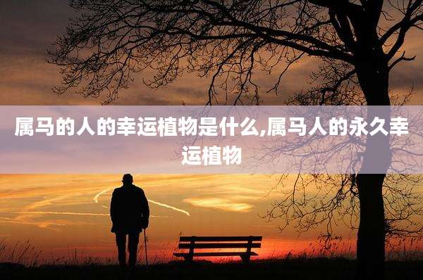 属马的人的幸运植物是什么,属马人的永久幸运植物