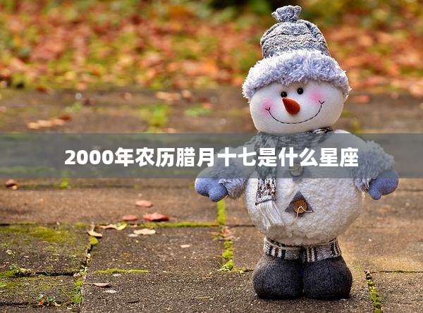 2000年农历腊月十七是什么星座