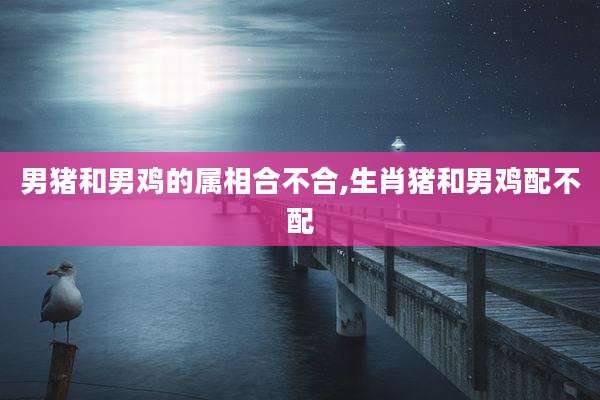 男猪和男鸡的属相合不合,生肖猪和男鸡配不配