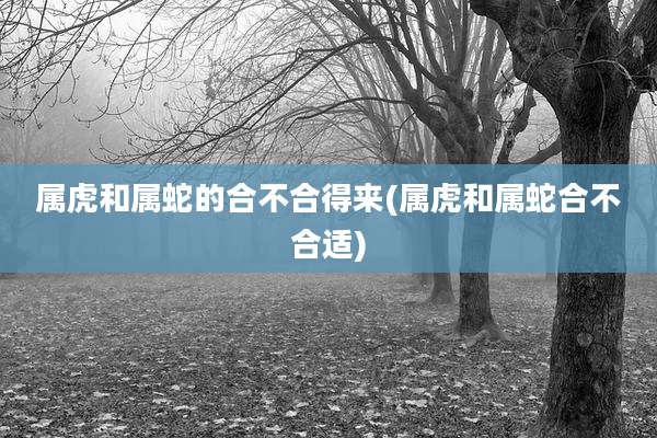 属虎和属蛇的合不合得来(属虎和属蛇合不合适)