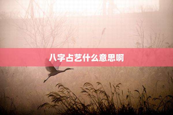 八字占艺什么意思啊