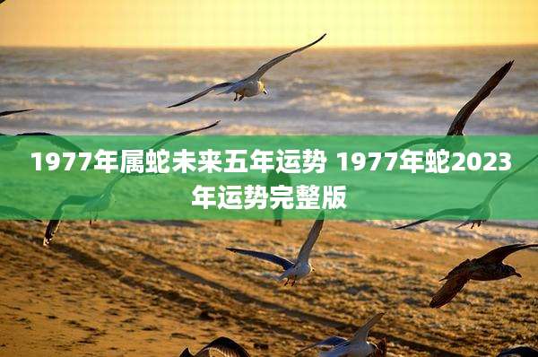 1977年属蛇未来五年运势 1977年蛇2023年运势完整版