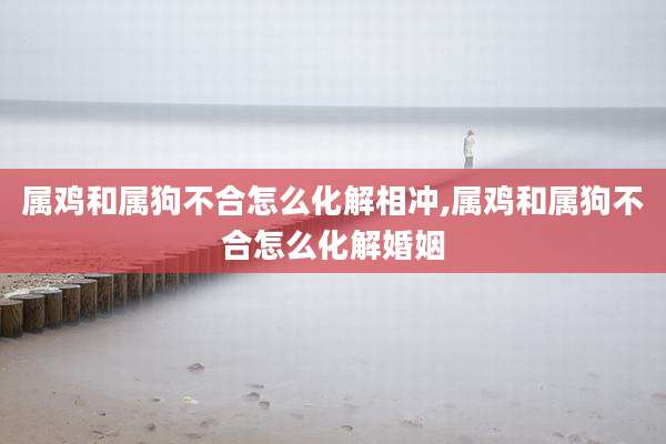 属鸡和属狗不合怎么化解相冲,属鸡和属狗不合怎么化解婚姻