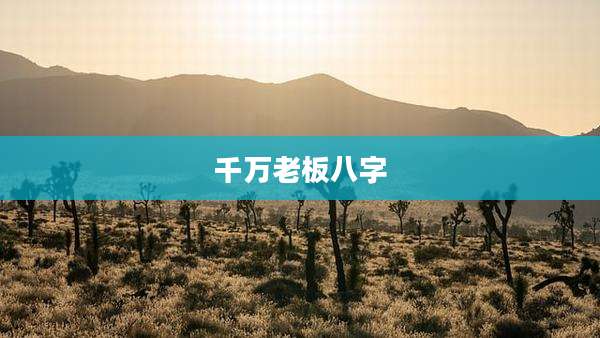 千万老板八字