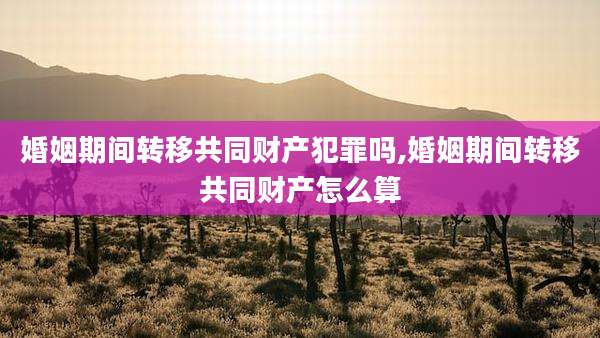 婚姻期间转移共同财产犯罪吗,婚姻期间转移共同财产怎么算