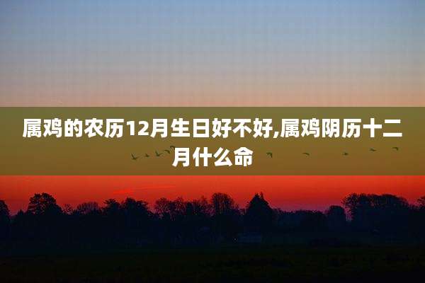 属鸡的农历12月生日好不好,属鸡阴历十二月什么命