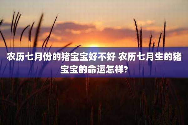 农历七月份的猪宝宝好不好 农历七月生的猪宝宝的命运怎样?