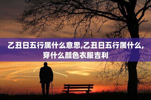 乙丑日五行属什么意思,乙丑日五行属什么,穿什么颜色衣服吉利