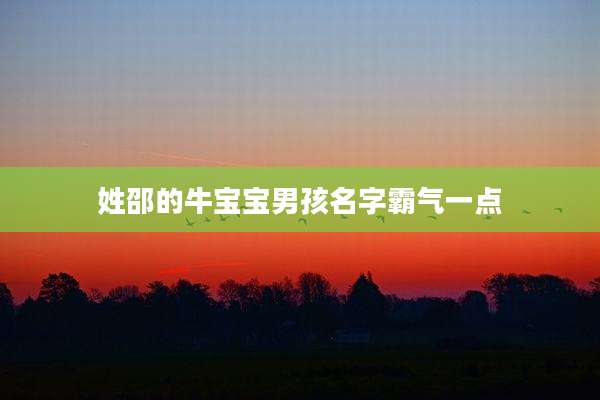 姓邵的牛宝宝男孩名字霸气一点