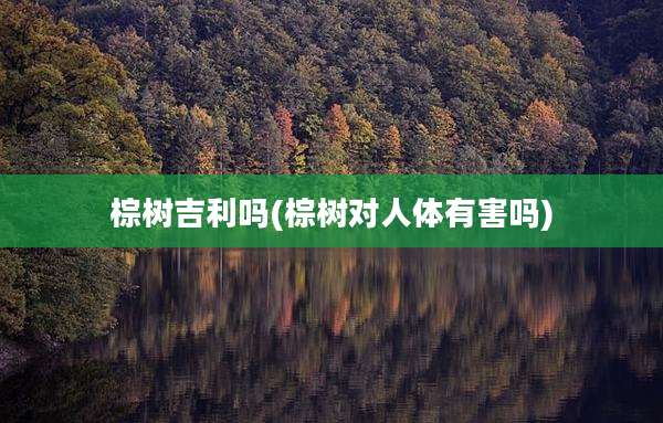 棕树吉利吗(棕树对人体有害吗)