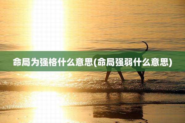 命局为强格什么意思(命局强弱什么意思)