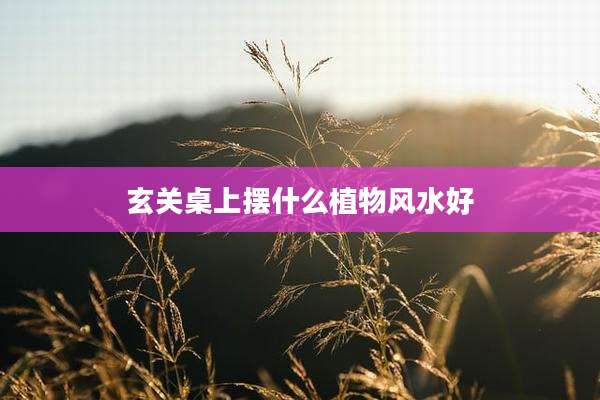 玄关桌上摆什么植物风水好