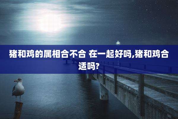 猪和鸡的属相合不合 在一起好吗,猪和鸡合适吗?