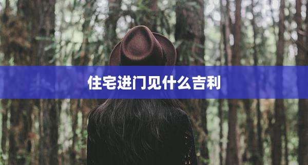 住宅进门见什么吉利
