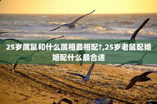 25岁属鼠和什么属相最相配?,25岁老鼠配婚姻配什么最合适