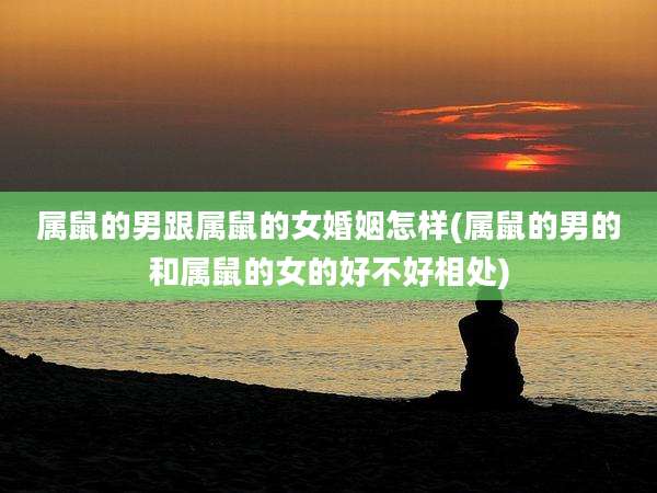 属鼠的男跟属鼠的女婚姻怎样(属鼠的男的和属鼠的女的好不好相处)