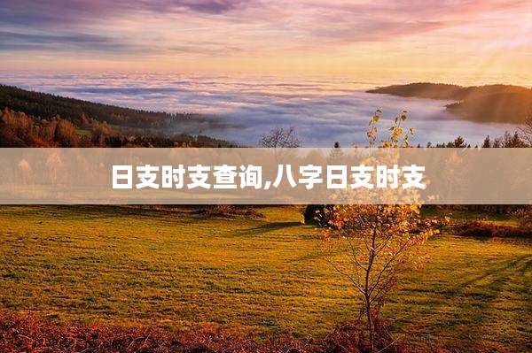 日支时支查询,八字日支时支