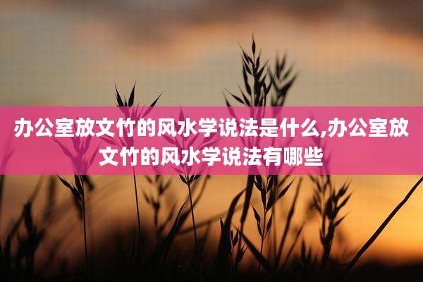 办公室放文竹的风水学说法是什么,办公室放文竹的风水学说法有哪些