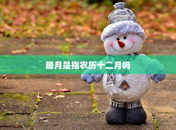 腊月是指农历十二月吗