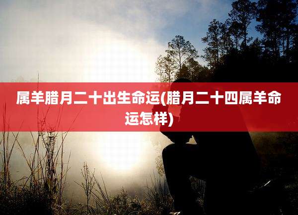 属羊腊月二十出生命运(腊月二十四属羊命运怎样)