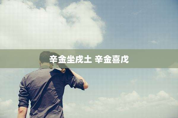 辛金坐戌土 辛金喜戊