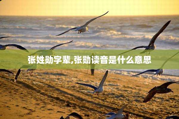 张姓勋字辈,张勋读音是什么意思