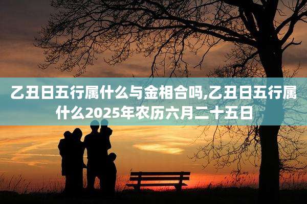 乙丑日五行属什么与金相合吗,乙丑日五行属什么2025年农历六月二十五日