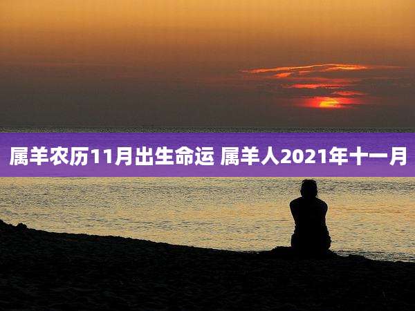 属羊农历11月出生命运 属羊人2021年十一月