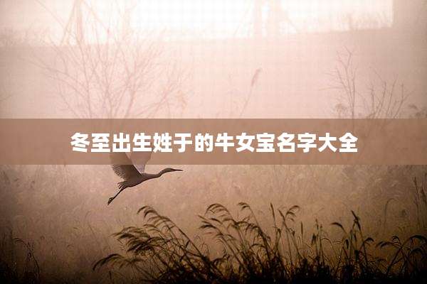 冬至出生姓于的牛女宝名字大全