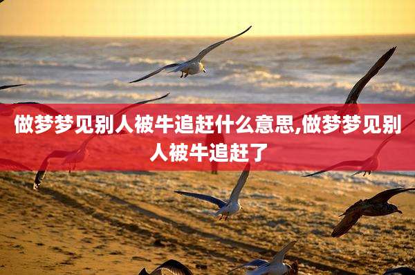 做梦梦见别人被牛追赶什么意思,做梦梦见别人被牛追赶了