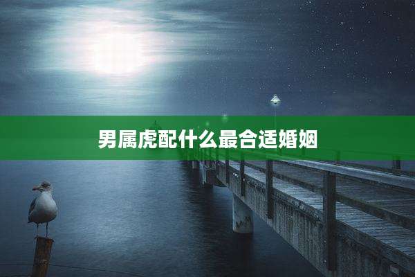 男属虎配什么最合适婚姻
