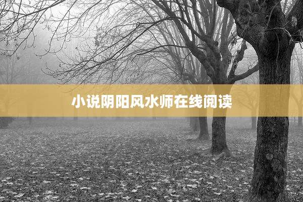 小说阴阳风水师在线阅读