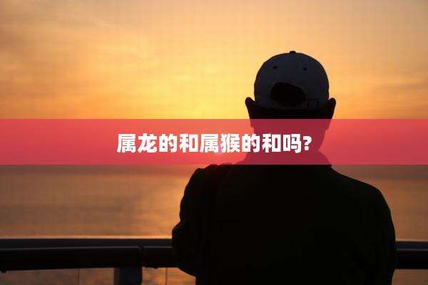 属龙的和属猴的和吗?