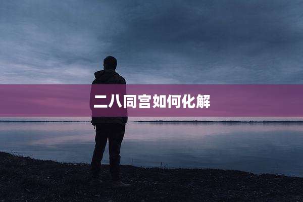 二八同宫如何化解