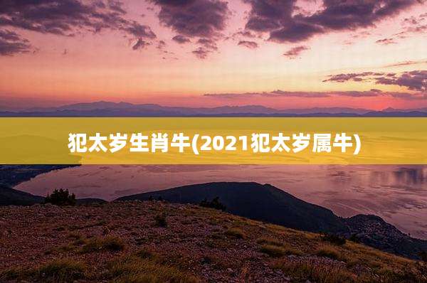 犯太岁生肖牛(2021犯太岁属牛)