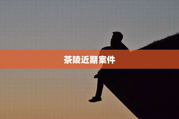 茶陵近期案件