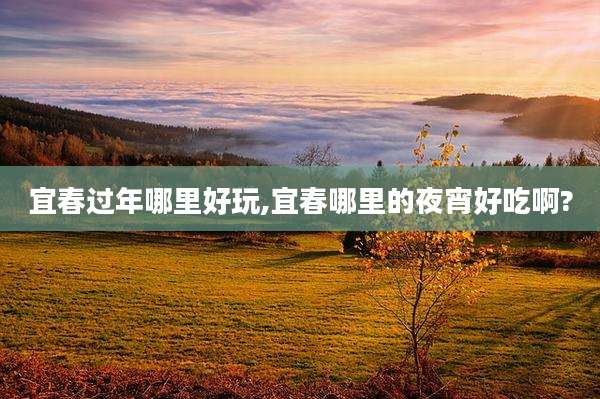 宜春过年哪里好玩,宜春哪里的夜宵好吃啊?