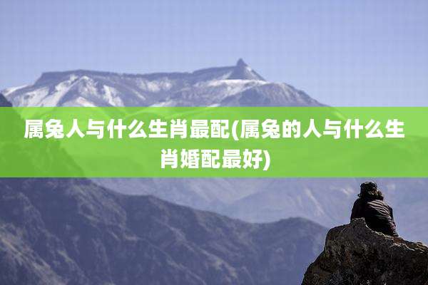 属兔人与什么生肖最配(属兔的人与什么生肖婚配最好)