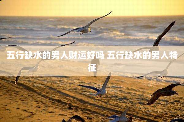 五行缺水的男人财运好吗 五行缺水的男人特征