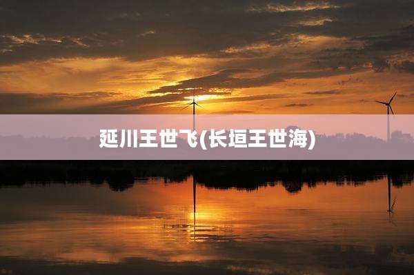 延川王世飞(长垣王世海)