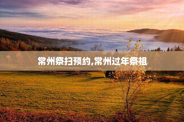 常州祭扫预约,常州过年祭祖