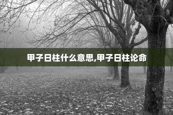 甲子日柱什么意思,甲子日柱论命