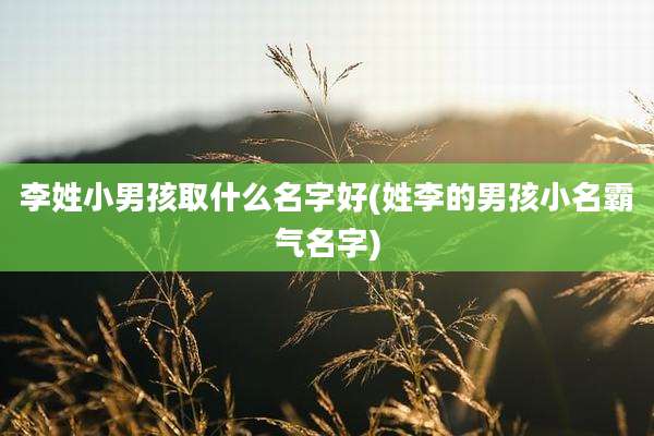 李姓小男孩取什么名字好(姓李的男孩小名霸气名字)