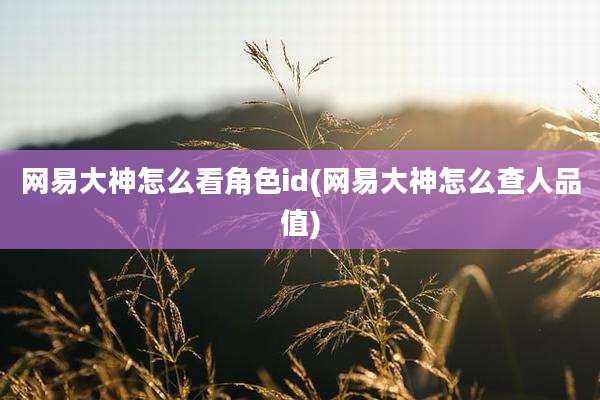 网易大神怎么看角色id(网易大神怎么查人品值)