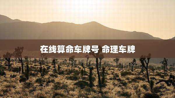 在线算命车牌号 命理车牌