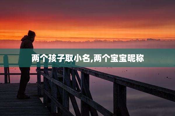 两个孩子取小名,两个宝宝昵称