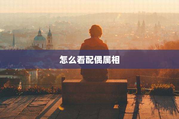怎么看配偶属相
