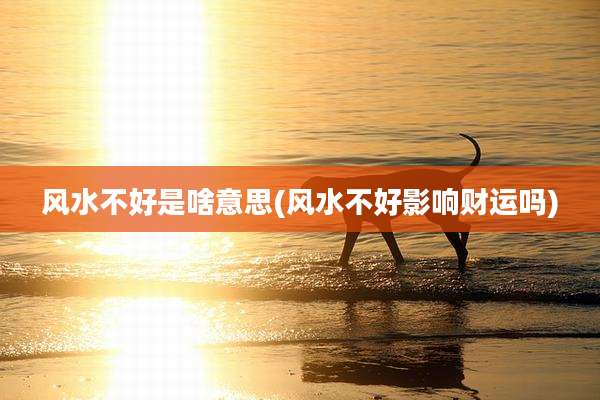 风水不好是啥意思(风水不好影响财运吗)