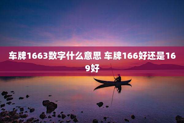 车牌1663数字什么意思 车牌166好还是169好